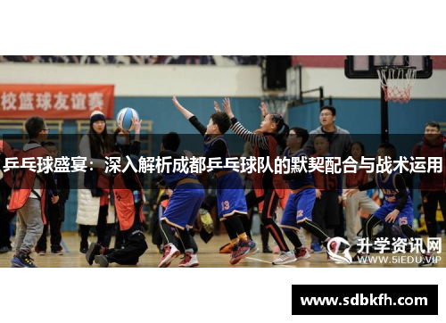 乒乓球盛宴：深入解析成都乒乓球队的默契配合与战术运用