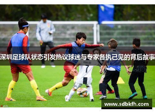深圳足球队状态引发热议球迷与专家各执己见的背后故事