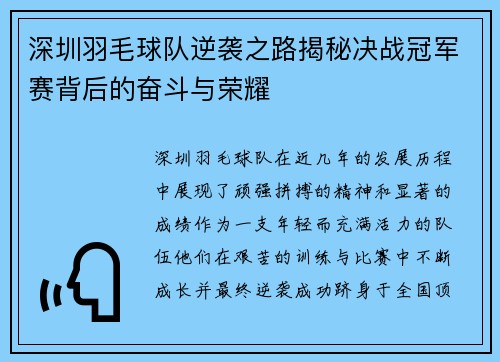 深圳羽毛球队逆袭之路揭秘决战冠军赛背后的奋斗与荣耀