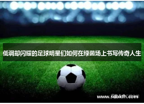 低调却闪耀的足球明星们如何在绿茵场上书写传奇人生