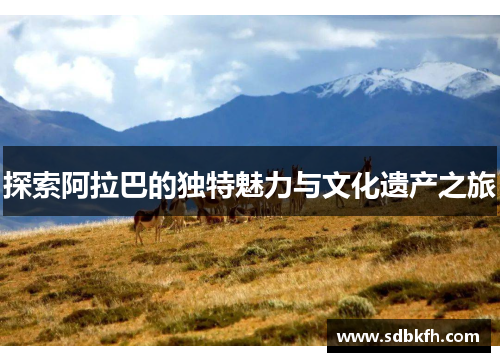 探索阿拉巴的独特魅力与文化遗产之旅